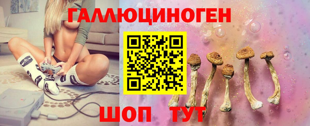 Галлюциногенные грибы Psilocybine cubensis Учалы